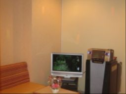 居室内のテレビと家具