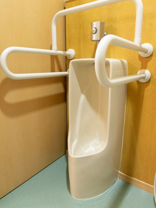 手すり付き洋式トイレ