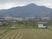 田園風景と桜の風景