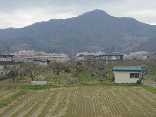 田園風景と桜の風景