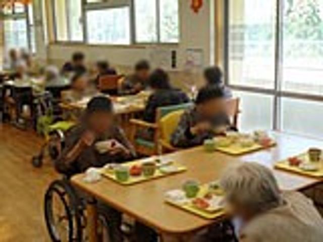 和やかな食事風景 食堂 自然光がたっぷり入り、和やかに食事を楽しむテーブル席です。リラックスした雰囲気が魅力です。
