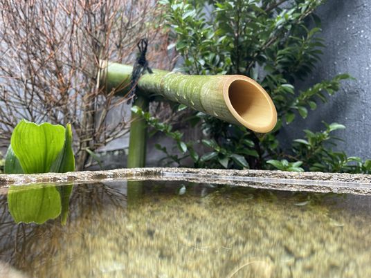 竹と水辺の景色
