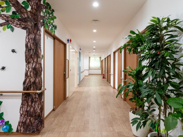 明るい廊下の様子 廊下 ゆったりとした空間の廊下です。木目調の床や植物が心地よさを演出しており、安らぎのある生活を実感いただけます。