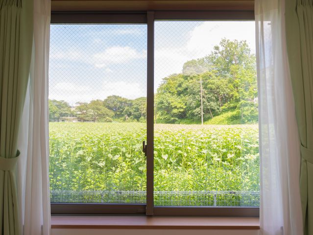 緑豊かな庭の景色