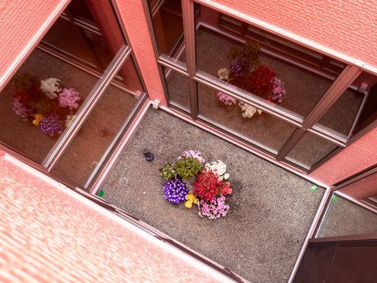花壇のある中庭