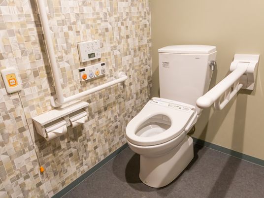 手すり付き清潔なトイレ