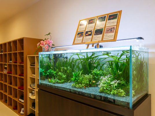 癒しのアクアリウム設置空間