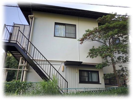 緑に囲まれた建物の外観