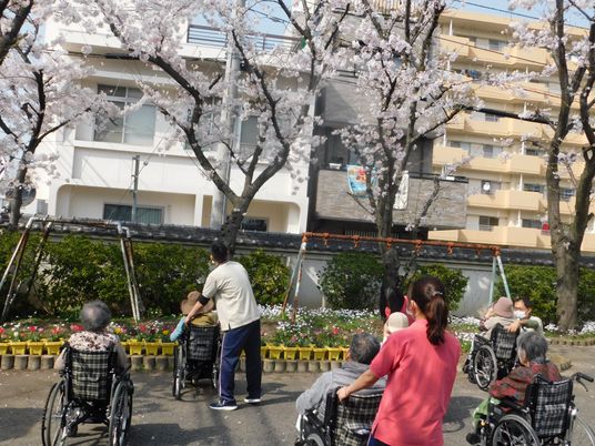 春満開の中庭