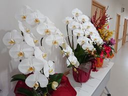 花で飾られた廊下