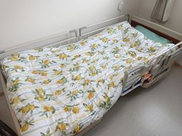 整備された居室の一角