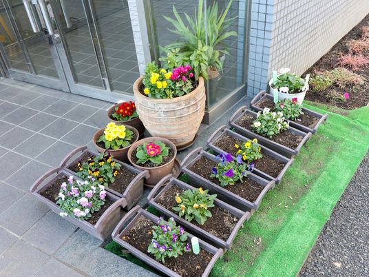 施設エントランスの花