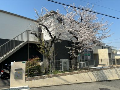 桜が咲く建物外観
