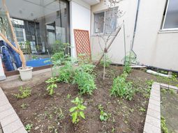 小さな庭の一角