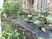手入れされた植物の中庭