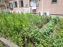 花と緑あふれる中庭