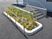 植栽のある外構  