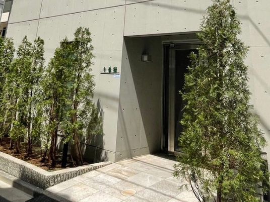 植栽に囲まれた入口  