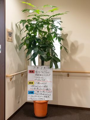 緑あふれる休憩スペース