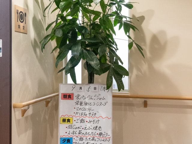 緑あふれる休憩スペース 廊下 廊下にポット植物が置かれ、心安らぐ環境が整っています。掲示物には日々のイベント情報も記載されております。