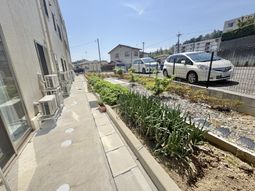 日当たりの良い庭