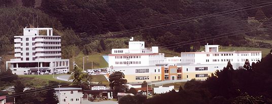 緑に囲まれた建物