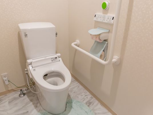 機能的なトイレ
