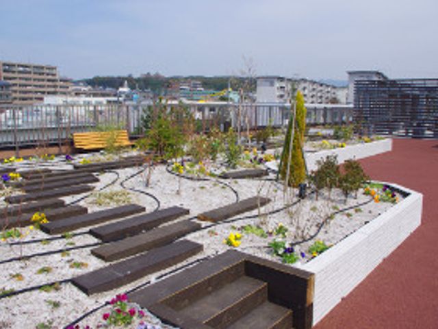 ゆったり過ごせる屋上庭園 テラス 四季折々の花が植えられた屋上テラスです。ベンチに座って新鮮な空気を感じながら、のんびりお過ごしいただけます。