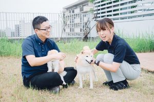 職員と犬が戯れる庭