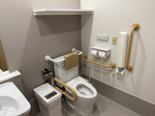 手すり付きトイレ  