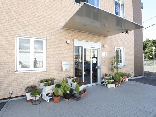 エントランス付近の植物