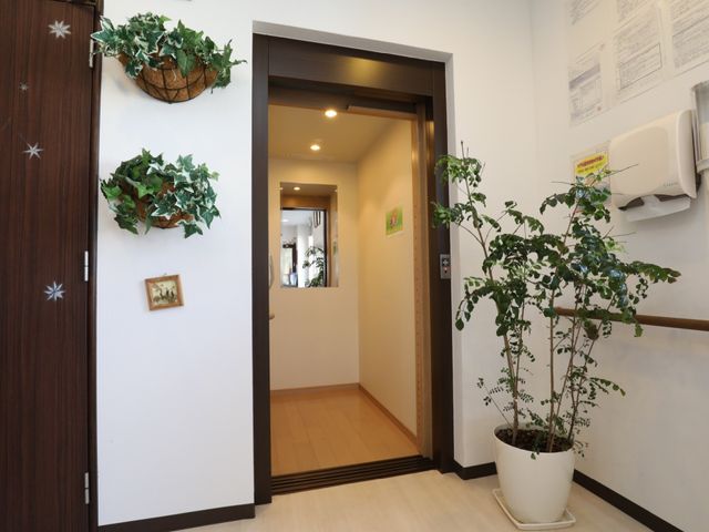 廊下に観葉植物と装飾 エレベーター 手すりと共に観葉植物が映える廊下は、明るく居心地の良い空間を提供しています。安全と癒しの両方を考えた配置です。