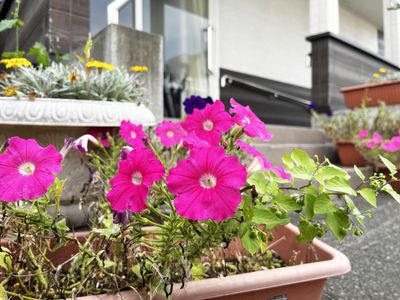 エントランス前の花壇
