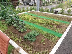 ゆとりある庭の風景