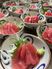 美しく盛り付けられた料理