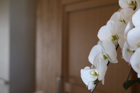 清潔感ある居室