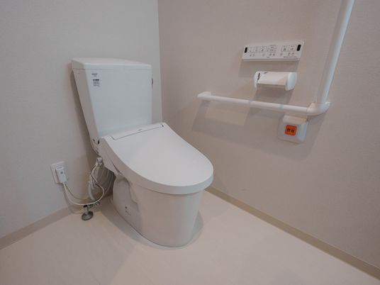 衛生的な設備のトイレ