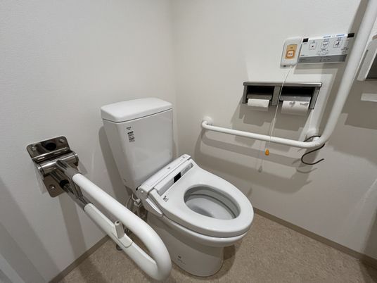 手すり付き清潔なトイレ