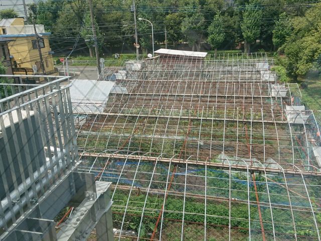 緑豊かな庭の眺め 庭 綺麗に手入れされた庭は、豊かな緑に囲まれ、心地よいひとときをお過ごしいただけます。
