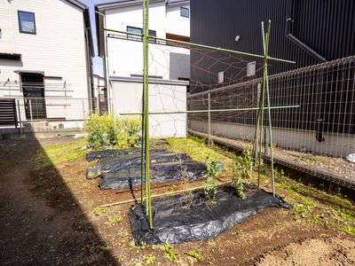 清潔感のある庭
