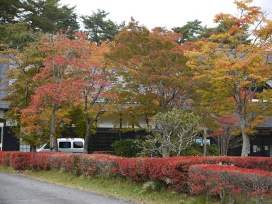 紅葉のある外観  