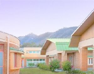 平和な中庭