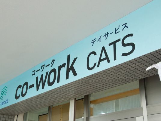 CO-WORK CATS看板  
