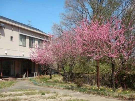 春の庭の建物外観  