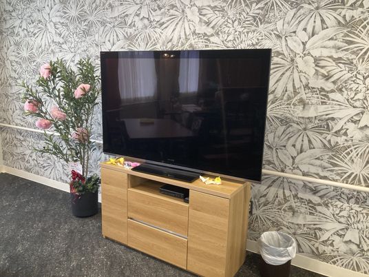 テレビと植物の部屋