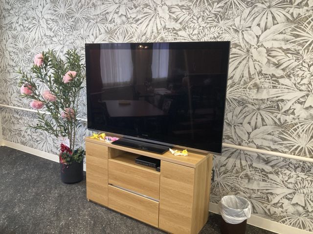 テレビと植物の部屋