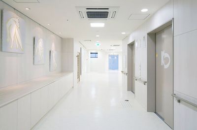 明るい廊下の様子  