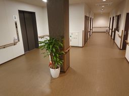 広々とした廊下