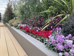 色とりどりの花壇の庭