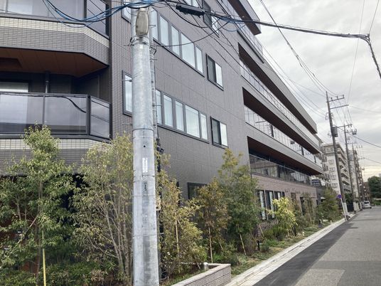 緑に囲まれた建物外観